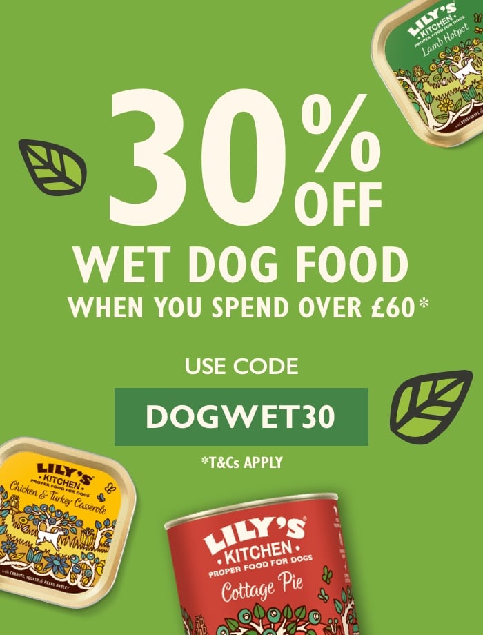 Wet Promo